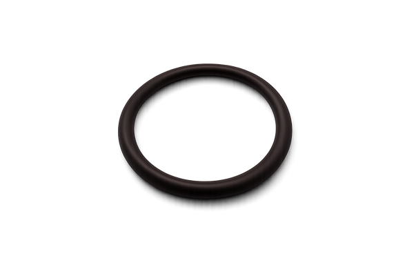 Oil Pump Pickup O-Ring - Barra all models